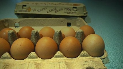 4 Ways to Tell if Your Eggs Have Gone Bad