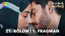 Kızılcık Şerbeti 21. Bölüm 1. Fragman | 