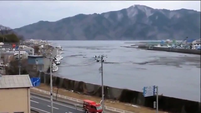 Funny cats and babies playing together Cute cat & baby compilation HD (4)