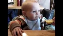 Best Funny Baby Expression So Cute   Best Funny Videos Baby Laughing The Funniest Baby Laugh