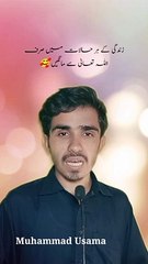 Muhammad Usama | محمد اسامہ