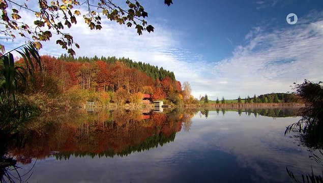 Sturm der Liebe 3402 folge