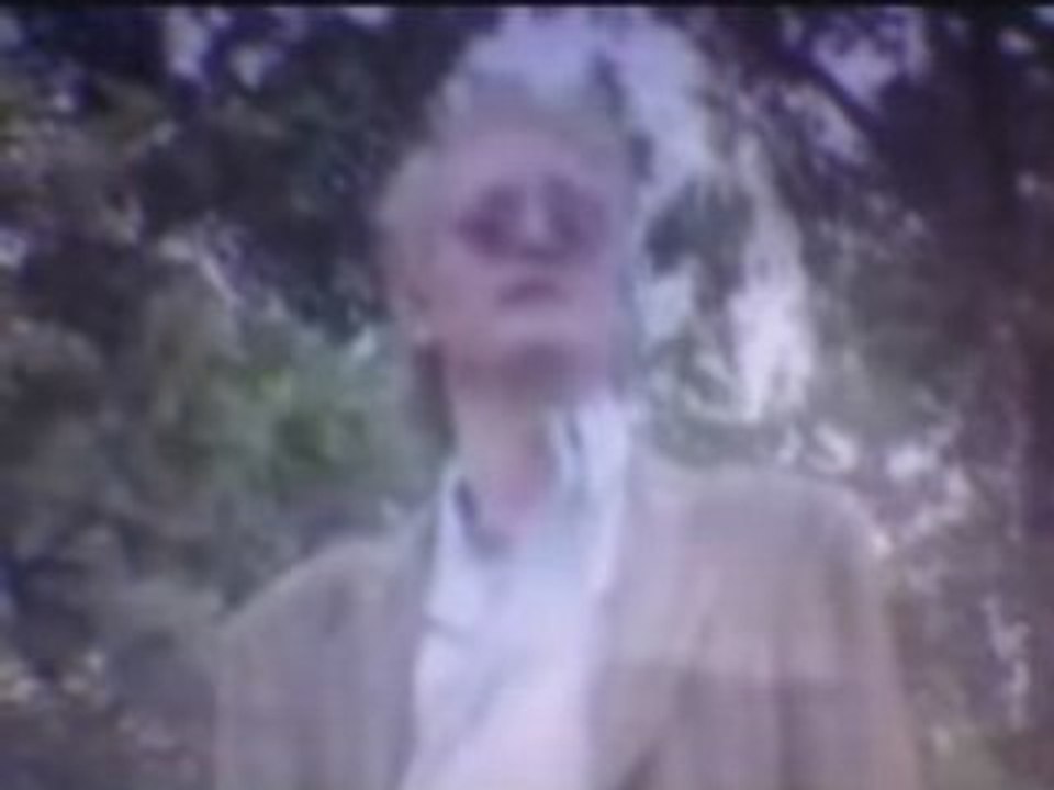 Taleb tahar- assed a nemzar