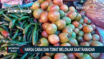 Masuki Ramadan, Harga Cabai Rawit di Kupang Capai Rp100 Ribu per Kilogramnya!