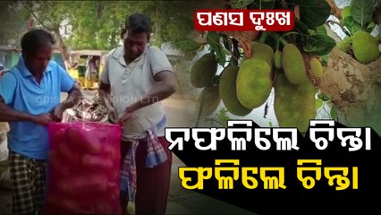 Gajapati farmers sell jackfruits at throwaway prices to traders of neighbouring state