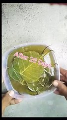 Handicraft’s_items_at_home_#shorts_#ytshorts_#handmade_#handicrafts(p)