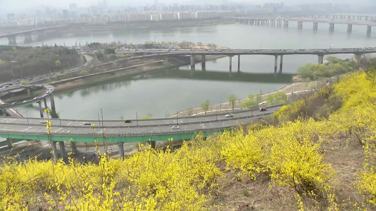 [날씨] 주말 전국 곳곳 황사...따뜻한 날씨에 봄꽃 만발 / YTN
