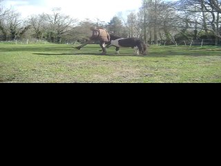 Debut pas espagnol par imitation