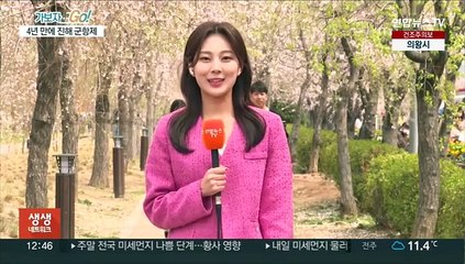 4년 만에 돌아온 진해 군항제…36만 그루 벚꽃 향연