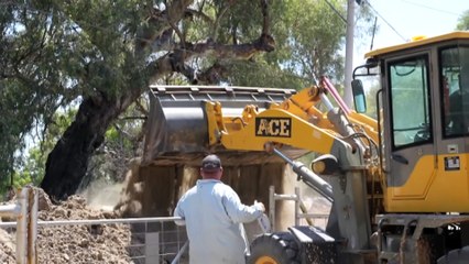 Natural disasters remain top of mind for voters in remote NSW