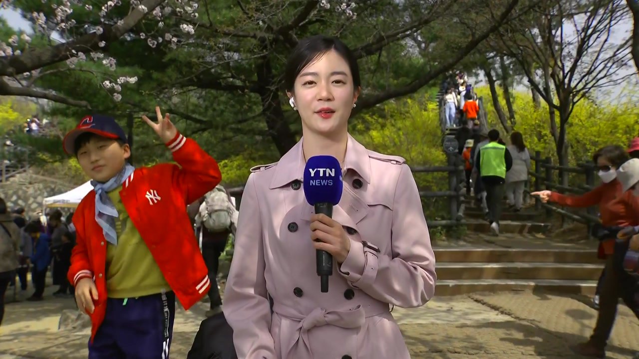 [날씨] 황사 영향 미세먼지...따뜻한 날씨에 봄꽃 만발 / YTN