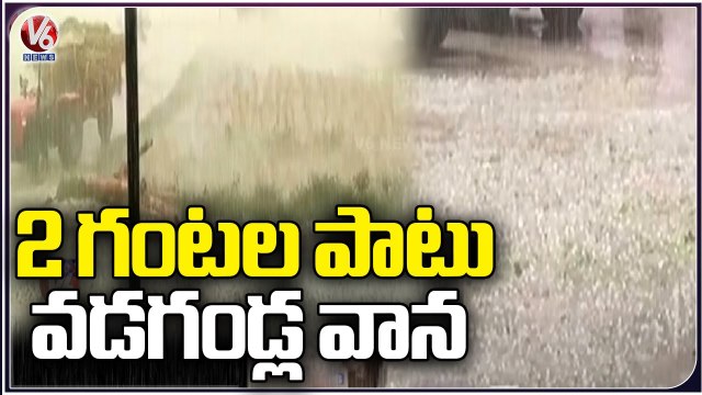 Heavy Rains In Rajasthan's Bharatpur , Farmers Faces Huge Losses Due To Crop Damage | V6 News (1)