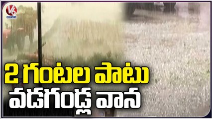 Heavy Rains In Rajasthan's  Bharatpur , Farmers Faces Huge Losses Due To Crop Damage | V6 News (1)