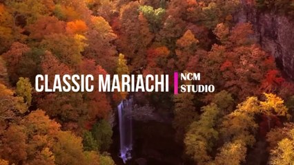 Classic Mariachi  - Jimena Contreras_ Cinematic Music, Happy Music, Fiesta Music @NCMstudio18