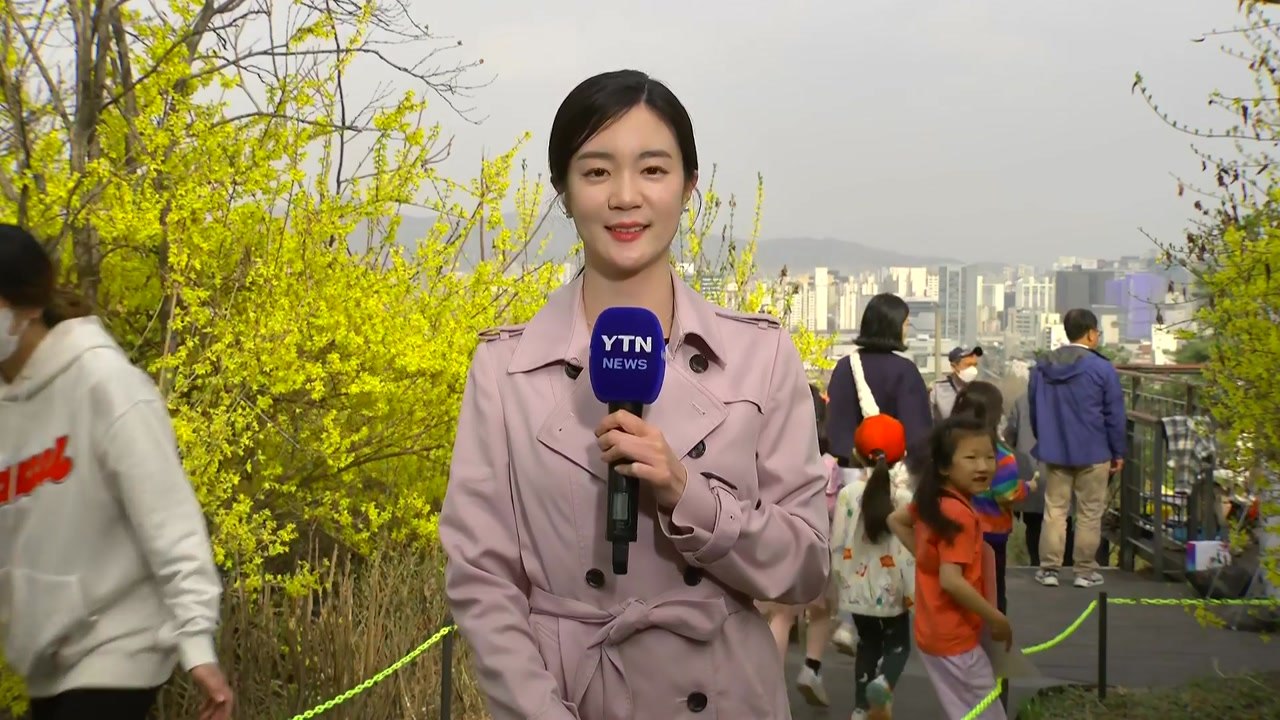 [날씨] 서울 등 곳곳 황사...따뜻한 날씨에 봄꽃 만발 / YTN