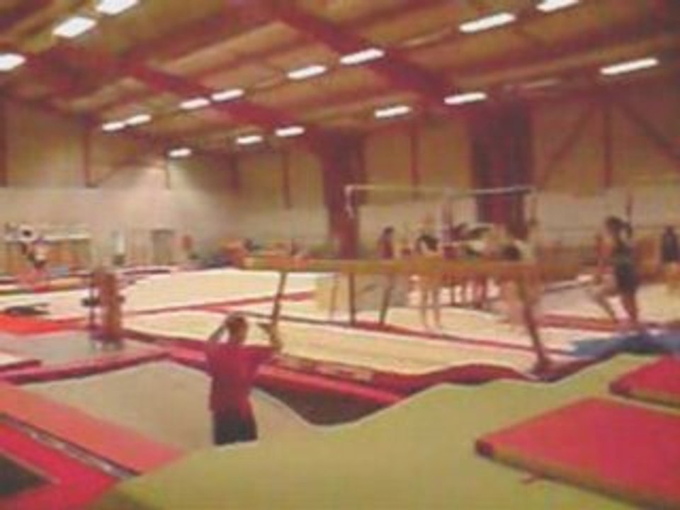 Acro 2007 - 2008