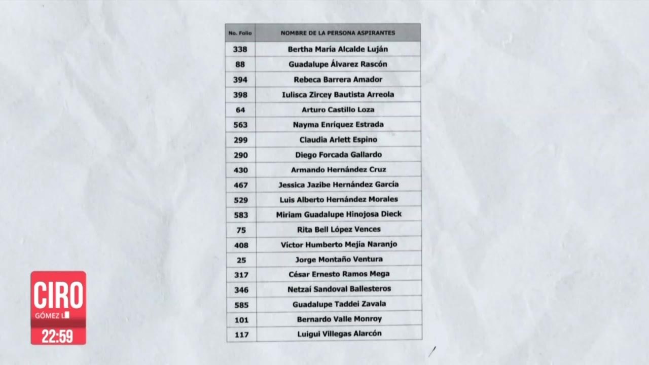 Nombres de los 20 finalistas para ser los próximos consejeros del INE
