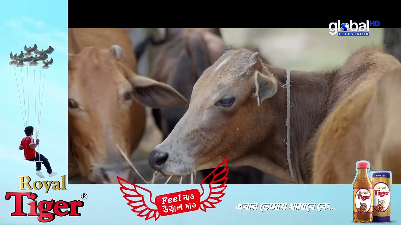 New Bangla Natok - Bhul korechi Prem korechi - ভুল করেছি প্রেম করেছি - Niloy,Mahi - Global TV Online_2