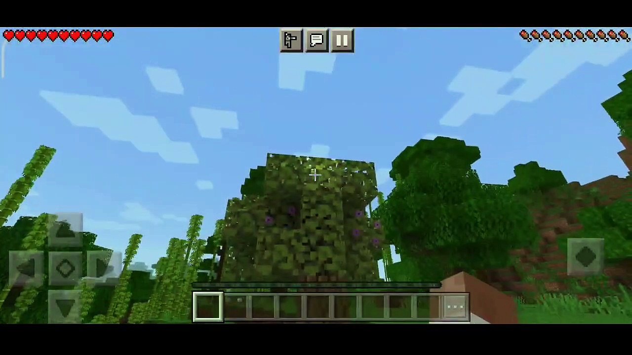 what-is-seed-in-minecraft-how-to-use-seed-in-minecraft-use-of-seed