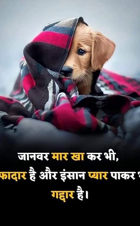 shri krishana ka jivan gyan, Krishna Vani,Krishna Motivational Video,Krishna Vani,vicharo ka sangam