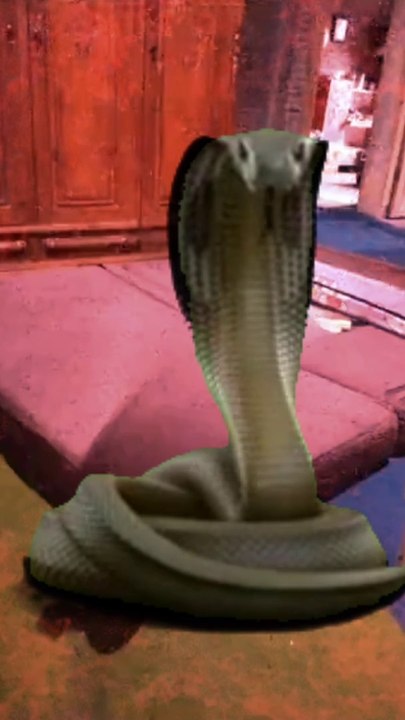 transform into a snake