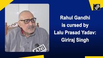 Rahul Gandhi is cursed by Lalu Prasad Yadav: Giriraj Singh