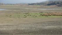 Çanakkale'nin Eceabat ilçesindeki Uzunhızırlı Göleti kuruma noktasına geldi, kuşlar bölgeyi terk etti
