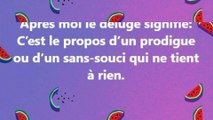 45) Après moi le déluge; Proverbe Français, expression populaire.