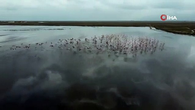 Gökyüzünde görsel şölen! Flamingolar böyle görüntülendi