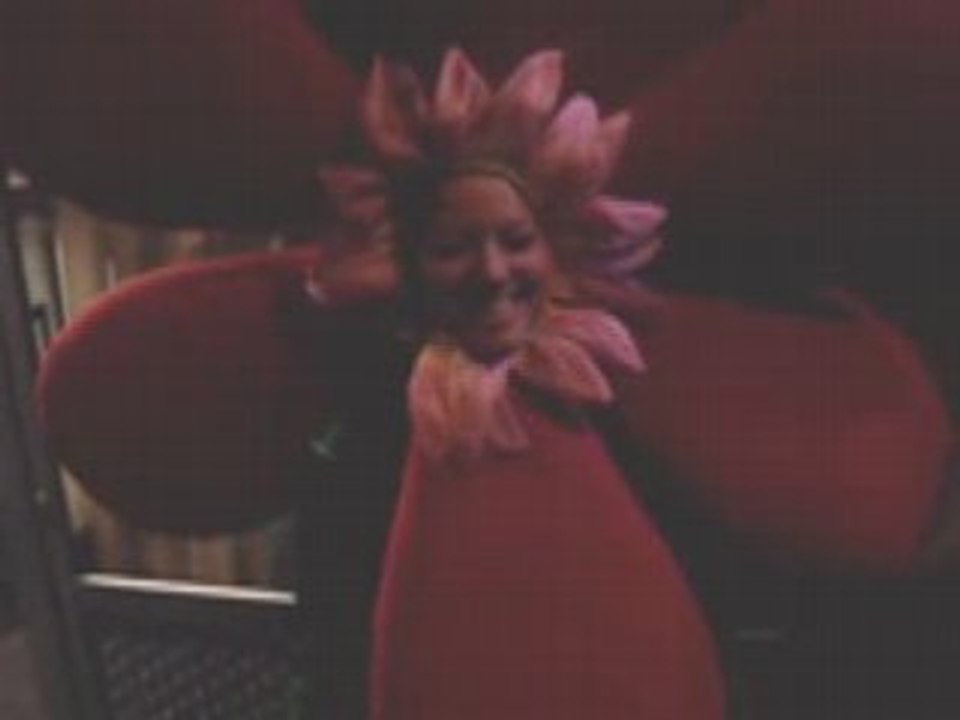 VID3