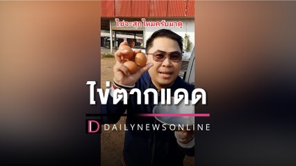 หนุ่มท้าแดดเมืองไทย นำไข่ดิบตากแดดในรถ ผลลัพธ์ที่ได้มีอึ้ง! | HOTSHOT เดลินิวส์ 25/03/66