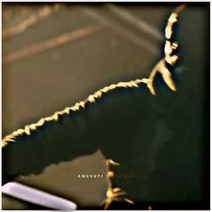 Boy's Killing Attitude  | Boy's Power 