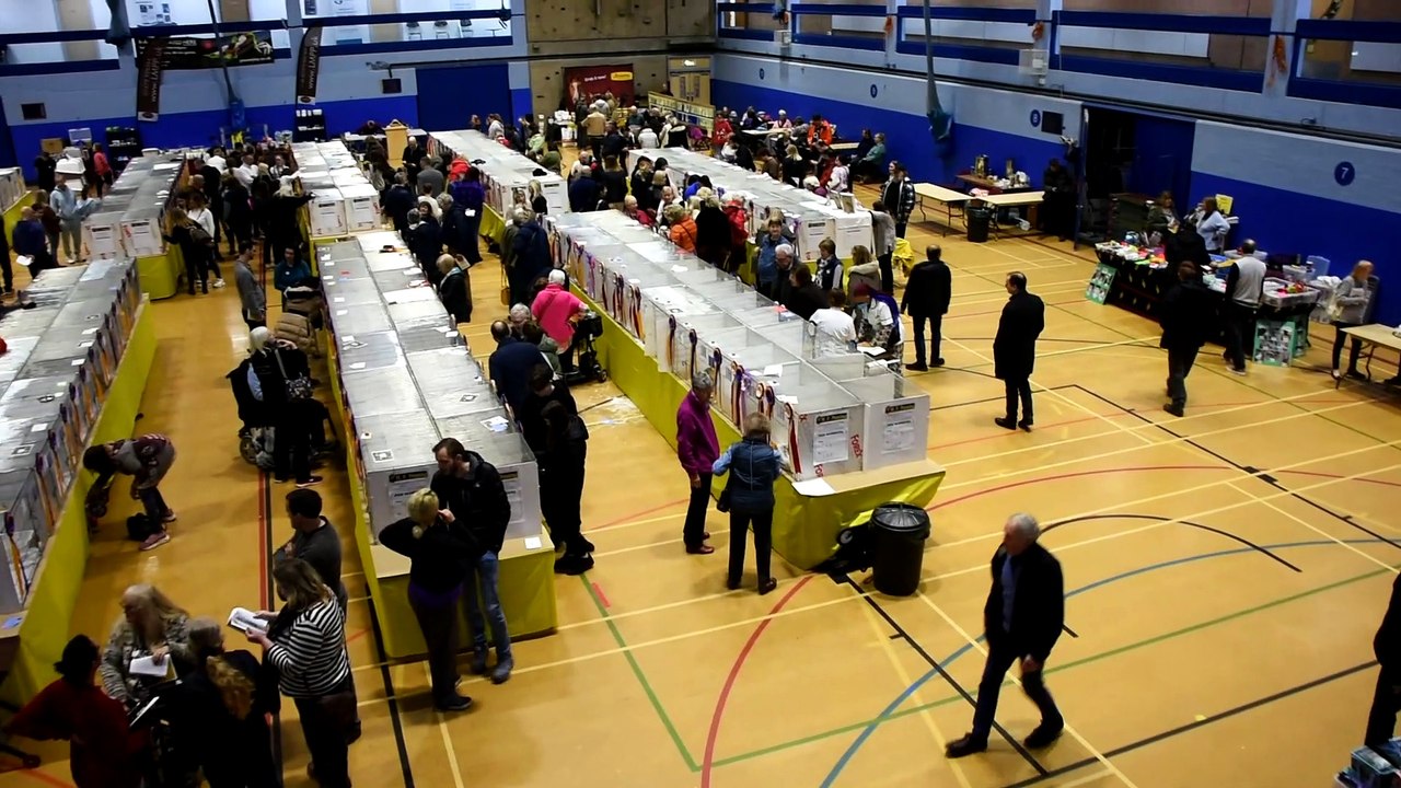 Woking cat show