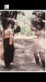 Amitabh Bachchan Dances During Toofan Shooting #shorts