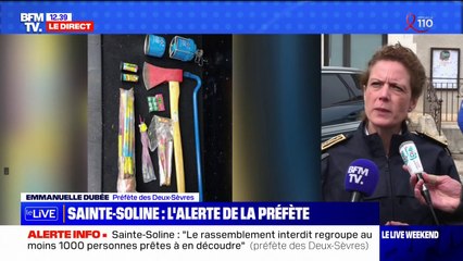 Sainte-Soline: "des haches, des machettes et des couteaux" ont été trouvés sur certains manifestants, alerte la préfète des Deux-Sèvres