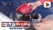 Eksperto: Epekto ng oil spill sa Oriental Mindoro, posibleng abutin pa ng taon