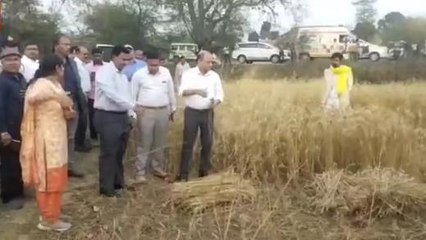 सिंगरौली: ओला प्रभावित क्षेत्रों का संभागायुक्त ने किया निरीक्षण, मदद का दिया आश्वासन