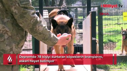 Depremde 78 kişiyi kurtaran köpeklerin branşlarını, askeri heyet belirliyor