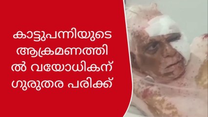 കാട്ടുപന്നിയുടെ ആക്രമണത്തിൽ വയോധികന് ഗുരുതര പരിക്ക്