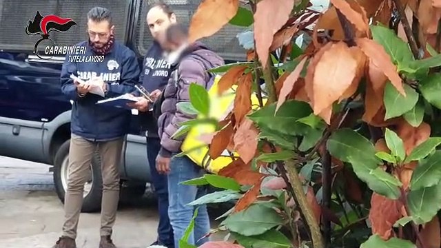 I controlli dei carabinieri contro il caporalato