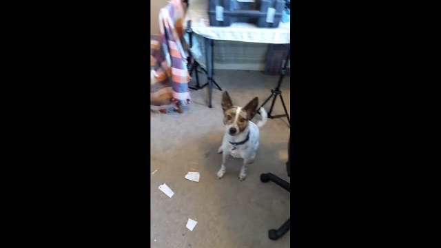 The Best way to dispose of your TV Licencing letters.