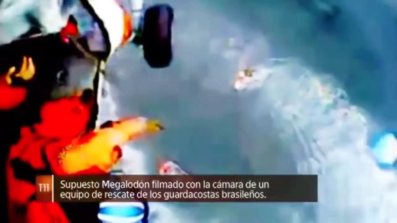 MEGADOLON TIBURON PRUEBAS DE SU EXISTENCIA