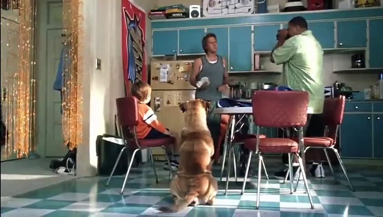 See Spot Run (2001) Watch HD