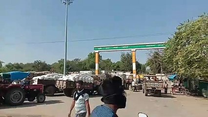 Chana and Masoor were to be procured at support price from March 25