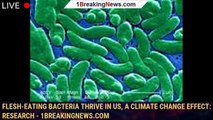 Flesh-eating bacteria thrive in US, a climate change effect: Research - 1breakingnews.com
