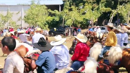 BANDITA EN VIVO LA TRADICION PARAGUAYA RECORDAMOS CARAGUATAY 2020