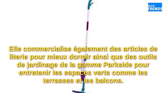 Lidl: facilitez-vous la vie avec ce lave-vitres idéal pour un nettoyage sans tracas !