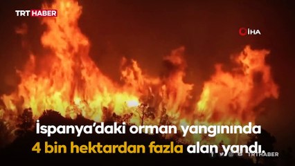 İspanya orman yangınıyla mücadele ediyor