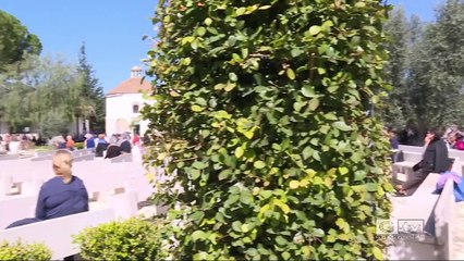 TG GARGANOTV 25 03 2023