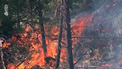 El incendio de Castellón se contiene, pero vientos de hasta 45 kilómetros dificultarán su control